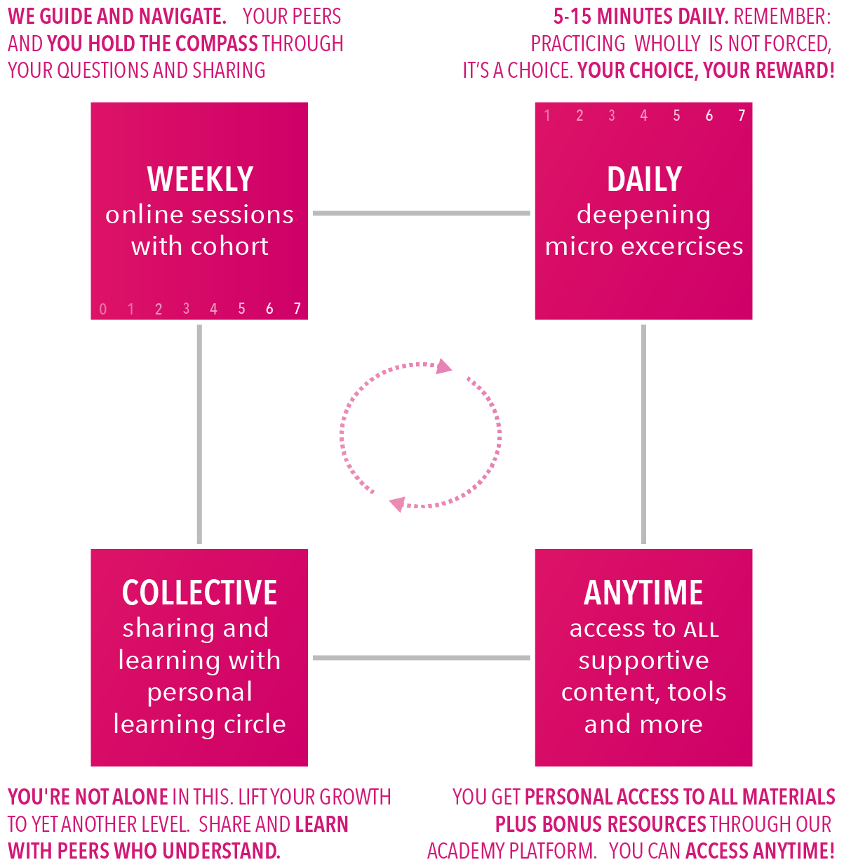 general course structure w online cohort (magenta)